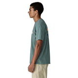 PAtaGONIA T-shirt Uomo 37841 BLSG PAtaGONIA 